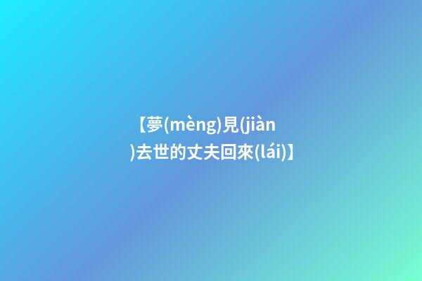 【夢(mèng)見(jiàn)去世的丈夫回來(lái)】