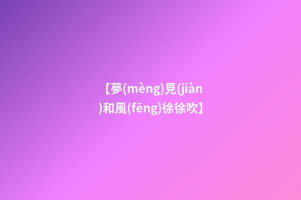 【夢(mèng)見(jiàn)和風(fēng)徐徐吹】