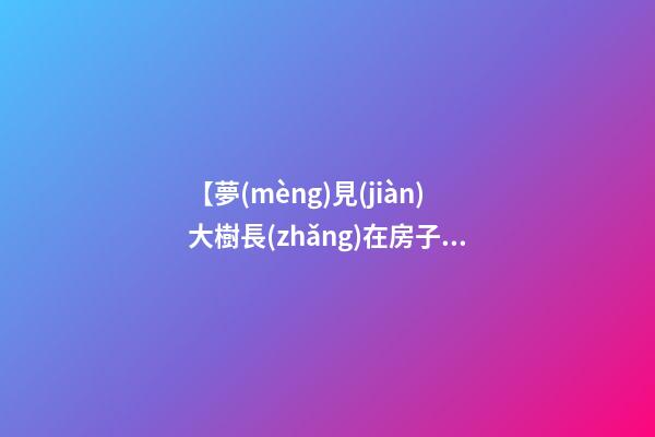 【夢(mèng)見(jiàn)大樹長(zhǎng)在房子里】