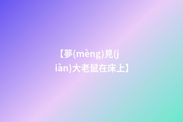 【夢(mèng)見(jiàn)大老鼠在床上】