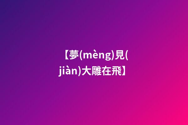 【夢(mèng)見(jiàn)大雕在飛】