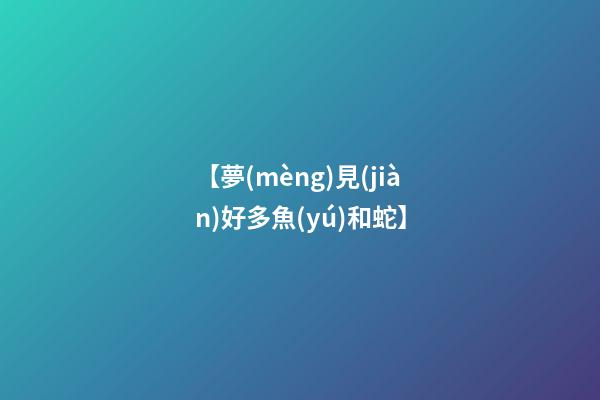 【夢(mèng)見(jiàn)好多魚(yú)和蛇】