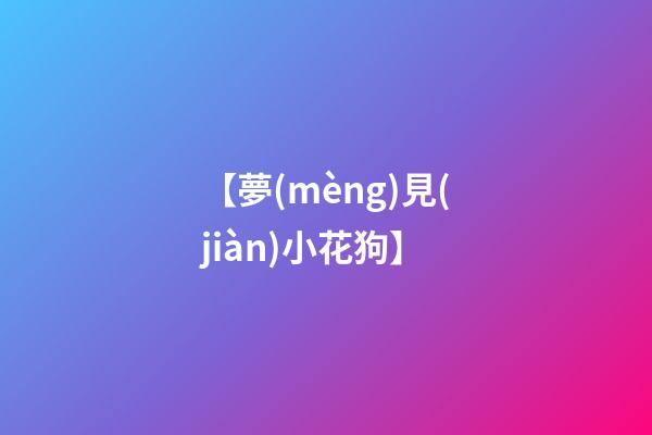 【夢(mèng)見(jiàn)小花狗】