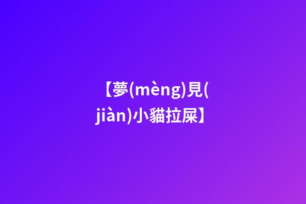 【夢(mèng)見(jiàn)小貓拉屎】