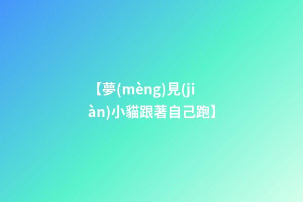 【夢(mèng)見(jiàn)小貓跟著自己跑】