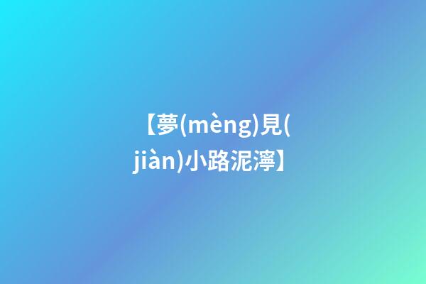 【夢(mèng)見(jiàn)小路泥濘】
