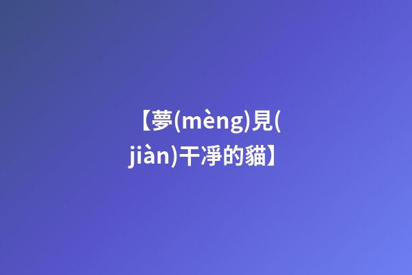 【夢(mèng)見(jiàn)干凈的貓】