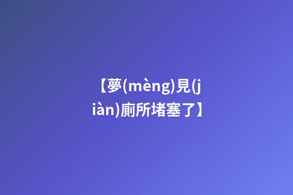 【夢(mèng)見(jiàn)廁所堵塞了】