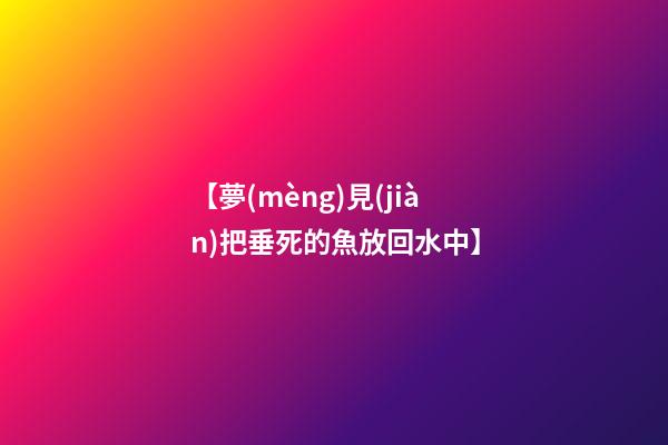 【夢(mèng)見(jiàn)把垂死的魚放回水中】