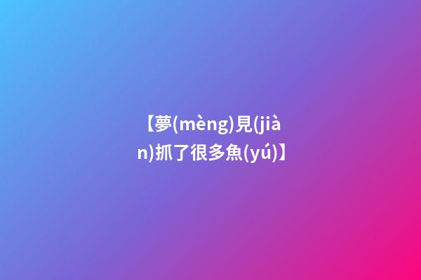 【夢(mèng)見(jiàn)抓了很多魚(yú)】