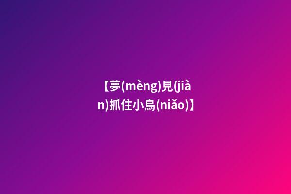 【夢(mèng)見(jiàn)抓住小鳥(niǎo)】
