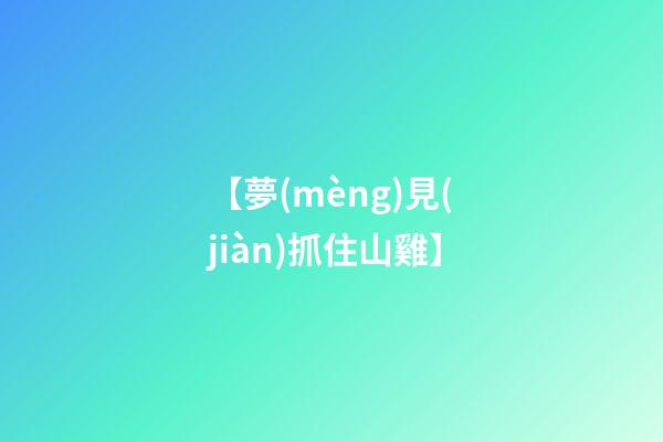 【夢(mèng)見(jiàn)抓住山雞】