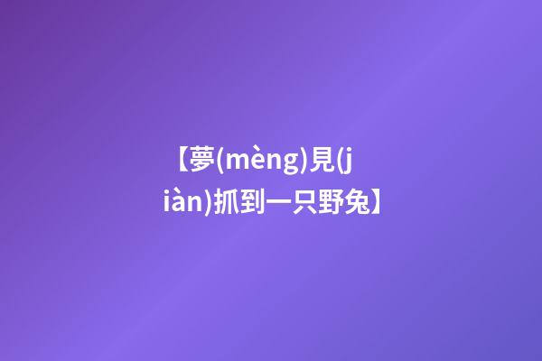 【夢(mèng)見(jiàn)抓到一只野兔】