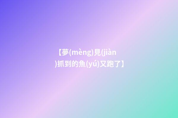 【夢(mèng)見(jiàn)抓到的魚(yú)又跑了】