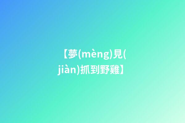 【夢(mèng)見(jiàn)抓到野雞】