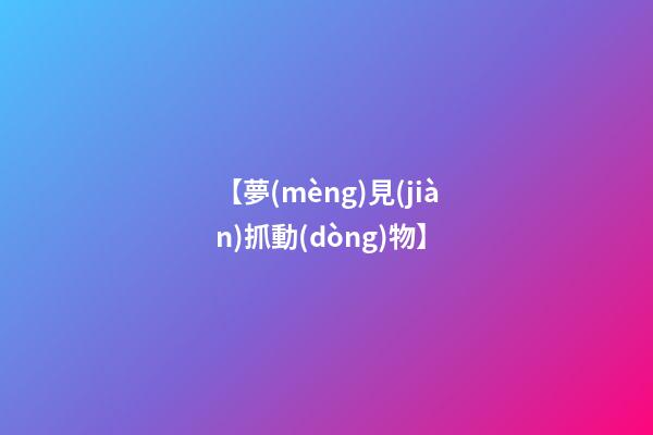 【夢(mèng)見(jiàn)抓動(dòng)物】