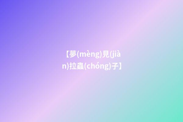 【夢(mèng)見(jiàn)拉蟲(chóng)子】