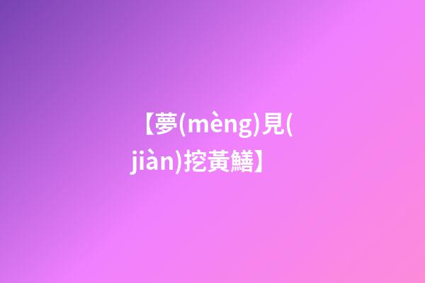 【夢(mèng)見(jiàn)挖黃鱔】