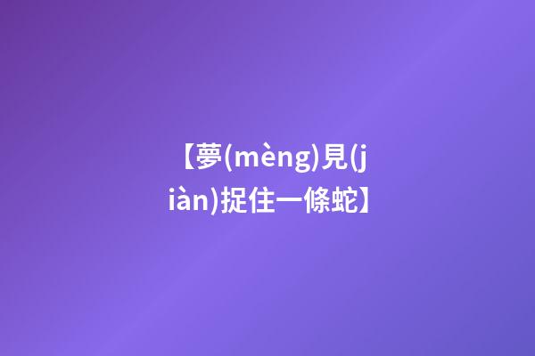 【夢(mèng)見(jiàn)捉住一條蛇】