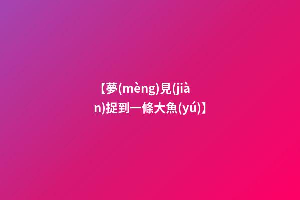 【夢(mèng)見(jiàn)捉到一條大魚(yú)】