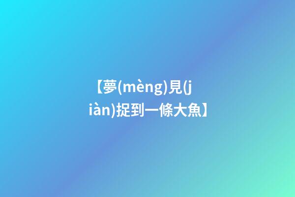 【夢(mèng)見(jiàn)捉到一條大魚】