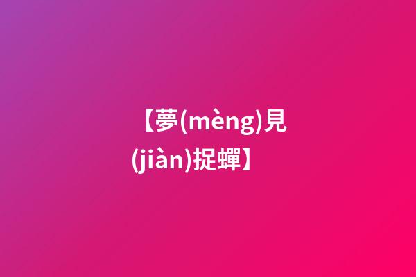 【夢(mèng)見(jiàn)捉蟬】