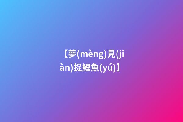 【夢(mèng)見(jiàn)捉鯉魚(yú)】