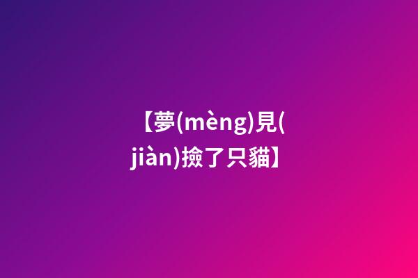【夢(mèng)見(jiàn)撿了只貓】