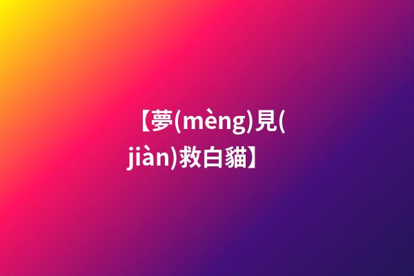 【夢(mèng)見(jiàn)救白貓】