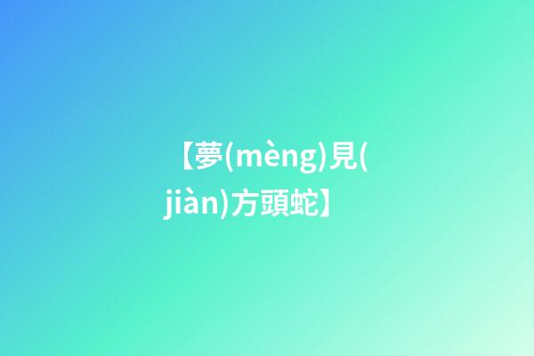 【夢(mèng)見(jiàn)方頭蛇】
