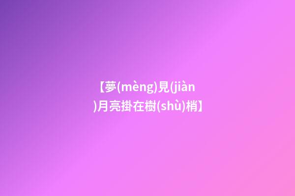 【夢(mèng)見(jiàn)月亮掛在樹(shù)梢】