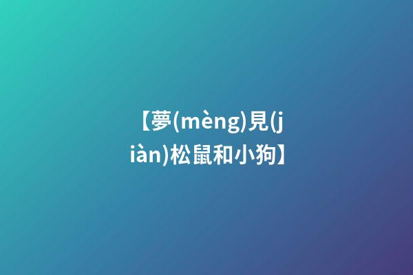 【夢(mèng)見(jiàn)松鼠和小狗】