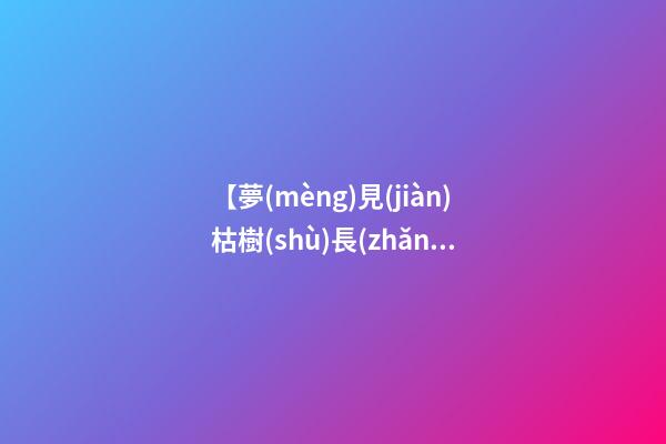 【夢(mèng)見(jiàn)枯樹(shù)長(zhǎng)新葉子】