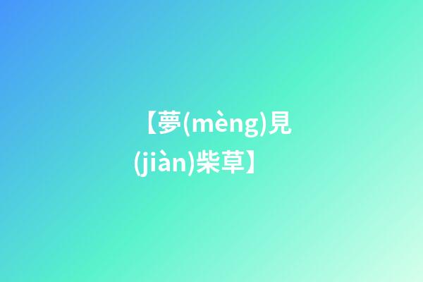【夢(mèng)見(jiàn)柴草】