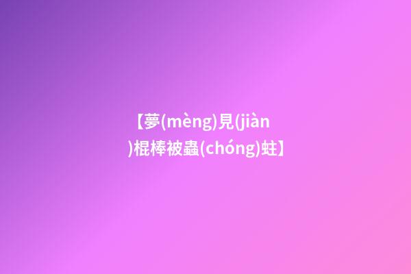 【夢(mèng)見(jiàn)棍棒被蟲(chóng)蛀】