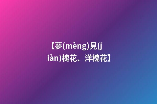 【夢(mèng)見(jiàn)槐花、洋槐花】