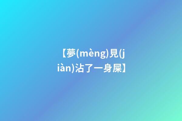 【夢(mèng)見(jiàn)沾了一身屎】