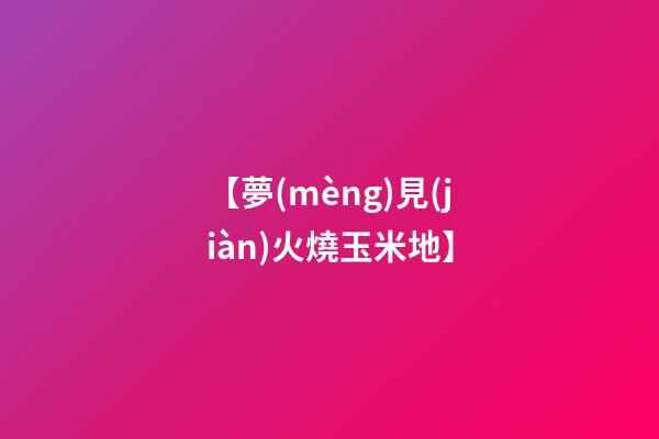 【夢(mèng)見(jiàn)火燒玉米地】