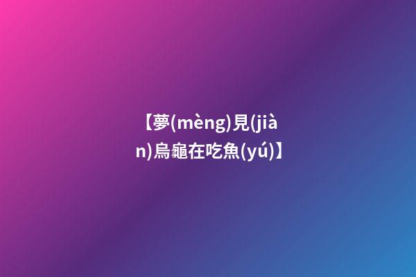 【夢(mèng)見(jiàn)烏龜在吃魚(yú)】