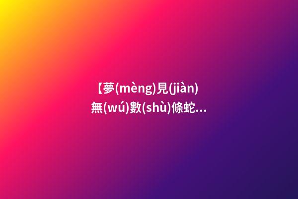 【夢(mèng)見(jiàn)無(wú)數(shù)條蛇】