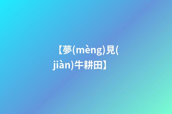 【夢(mèng)見(jiàn)牛耕田】