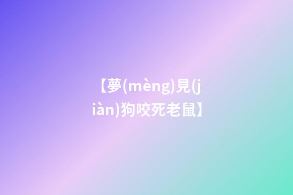 【夢(mèng)見(jiàn)狗咬死老鼠】