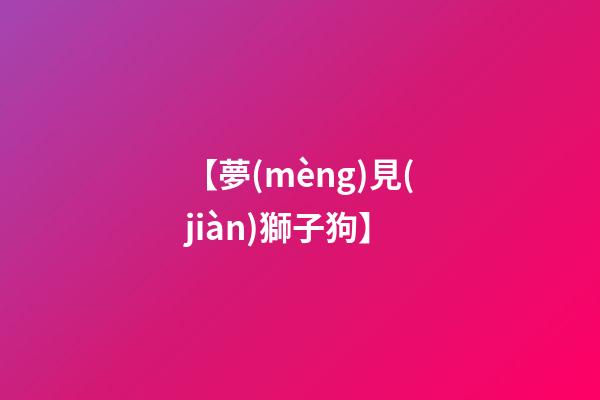 【夢(mèng)見(jiàn)獅子狗】