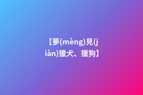 【夢(mèng)見(jiàn)獵犬、獵狗】