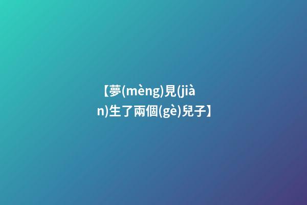 【夢(mèng)見(jiàn)生了兩個(gè)兒子】