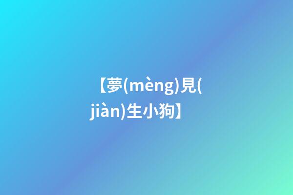 【夢(mèng)見(jiàn)生小狗】