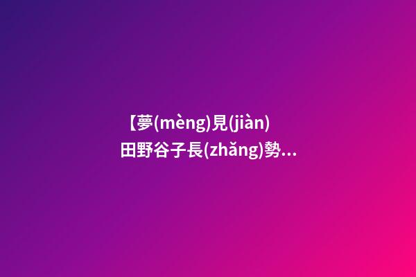 【夢(mèng)見(jiàn)田野谷子長(zhǎng)勢(shì)好】