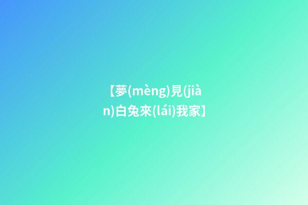 【夢(mèng)見(jiàn)白兔來(lái)我家】