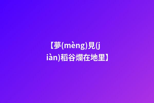 【夢(mèng)見(jiàn)稻谷爛在地里】