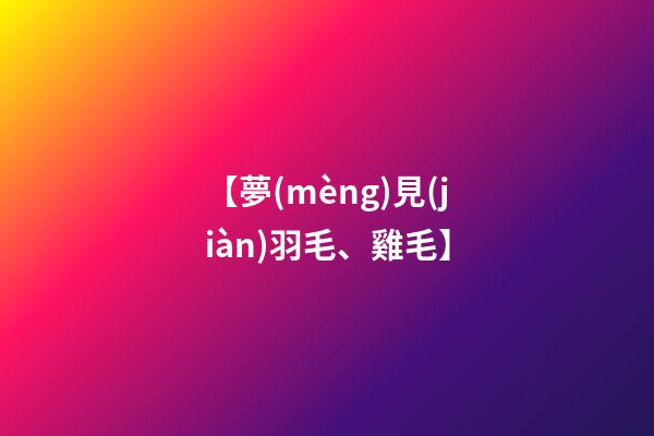 【夢(mèng)見(jiàn)羽毛、雞毛】